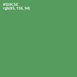 #559C5E - Fruit Salad Color Image