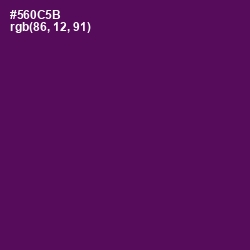 #560C5B - Clairvoyant Color Image