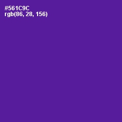 #561C9C - Pigment Indigo Color Image