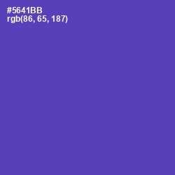 #5641BB - Blue Violet Color Image