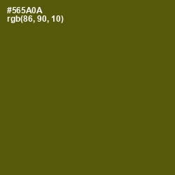 #565A0A - Saratoga Color Image