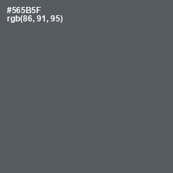 #565B5F - Chicago Color Image