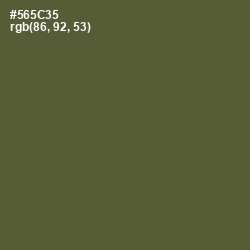 #565C35 - Verdigris Color Image