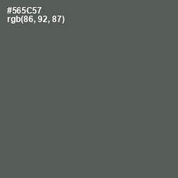 #565C57 - Chicago Color Image