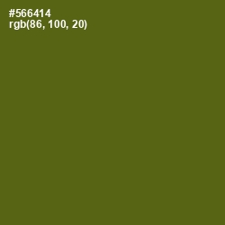 #566414 - Green Leaf Color Image