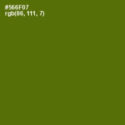 #566F07 - Green Leaf Color Image