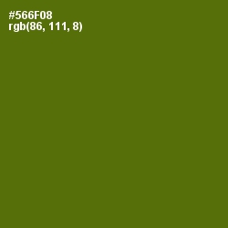 #566F08 - Green Leaf Color Image