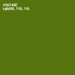 #56740E - Green Leaf Color Image