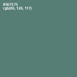 #567E75 - Cutty Sark Color Image