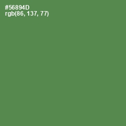 #56894D - Hippie Green Color Image