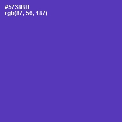 #5738BB - Royal Purple Color Image