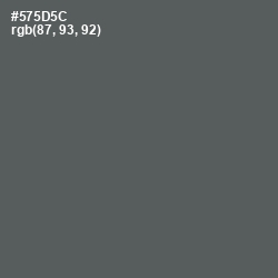 #575D5C - Chicago Color Image