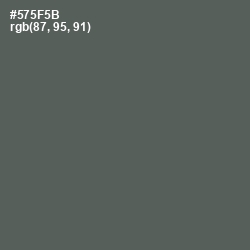 #575F5B - Chicago Color Image