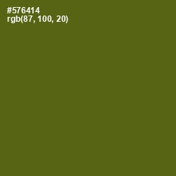#576414 - Green Leaf Color Image