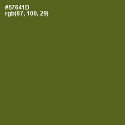 #57641D - Green Leaf Color Image