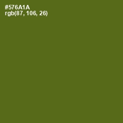 #576A1A - Green Leaf Color Image