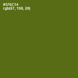 #576C14 - Green Leaf Color Image