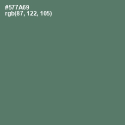 #577A69 - Como Color Image