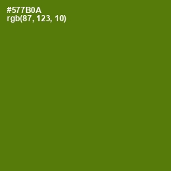 #577B0A - Green Leaf Color Image