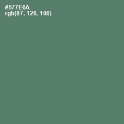 #577E6A - Como Color Image