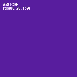 #581C9F - Pigment Indigo Color Image