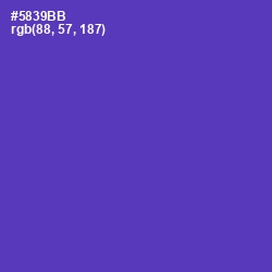 #5839BB - Royal Purple Color Image