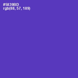 #5839BD - Royal Purple Color Image