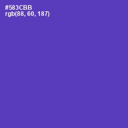 #583CBB - Royal Purple Color Image