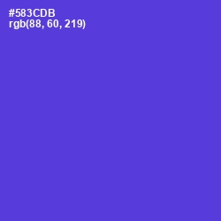 #583CDB - Purple Heart Color Image