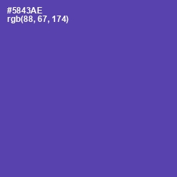 #5843AE - Blue Violet Color Image