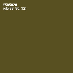 #585020 - Woodland Color Image
