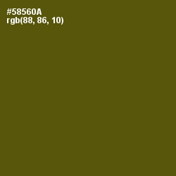 #58560A - Saratoga Color Image