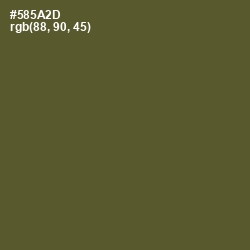 #585A2D - Verdigris Color Image