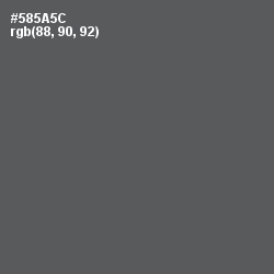 #585A5C - Chicago Color Image