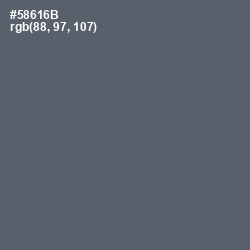 #58616B - Shuttle Gray Color Image