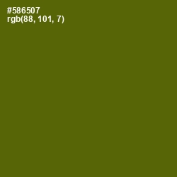 #586507 - Green Leaf Color Image