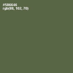 #586646 - Axolotl Color Image