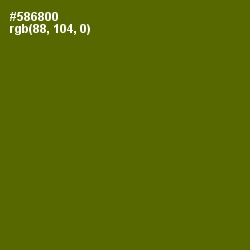#586800 - Green Leaf Color Image