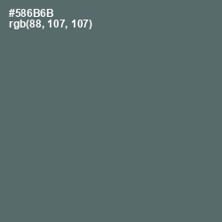 #586B6B - Shuttle Gray Color Image