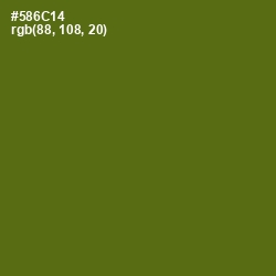 #586C14 - Green Leaf Color Image