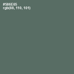 #586E65 - Como Color Image