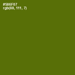 #586F07 - Green Leaf Color Image