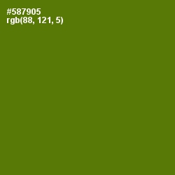 #587905 - Green Leaf Color Image