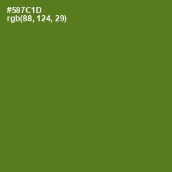 #587C1D - Green Leaf Color Image