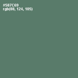 #587C69 - Como Color Image