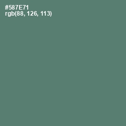 #587E71 - Cutty Sark Color Image