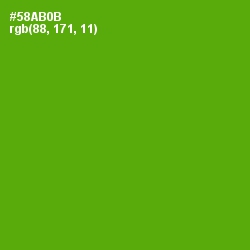 #58AB0B - Christi Color Image