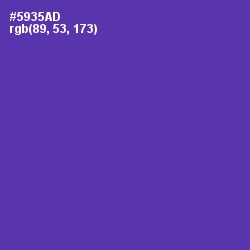 #5935AD - Royal Purple Color Image