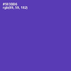 #593BB6 - Royal Purple Color Image