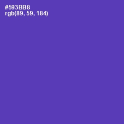 #593BB8 - Royal Purple Color Image